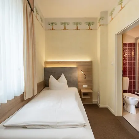 Hotel-restaurant Saelzerhof ホテル