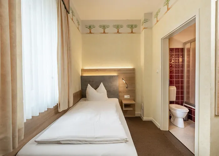 Hotel-restaurant Saelzerhof ホテル